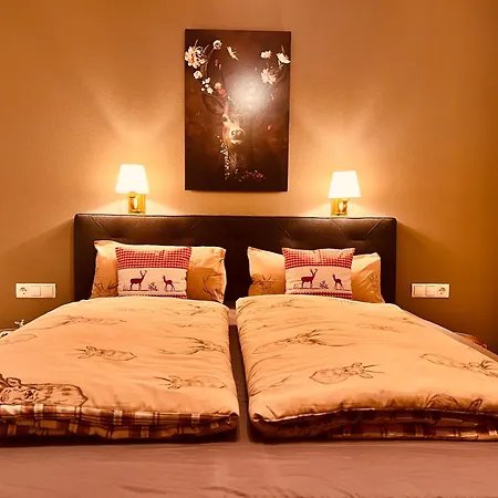 Daire Platzhirsch Zillertal Panoramablick Sauna Out Rohrberg