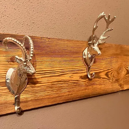 Lägenhet Platzhirsch Zillertal Panoramablick Sauna Out Rohrberg