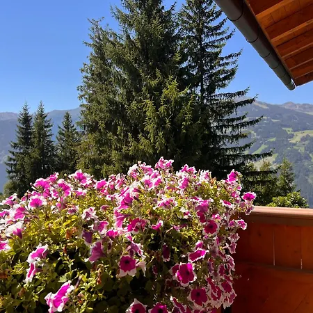 Lägenhet Platzhirsch Zillertal Panoramablick Sauna Out