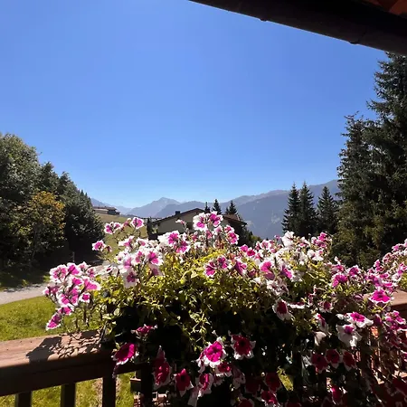 Zillertal Mit Panoramablick Und Sauna *