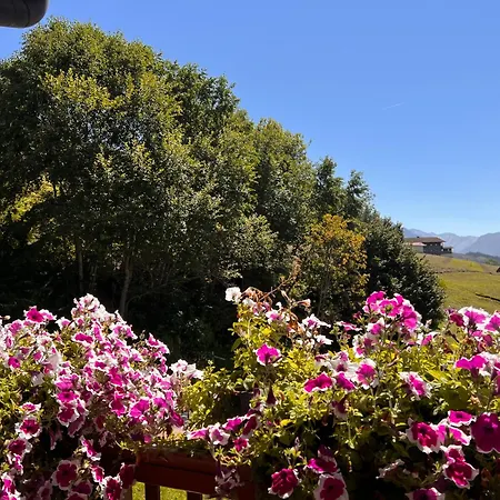 Daire Platzhirsch Zillertal Panoramablick Sauna Out Rohrberg